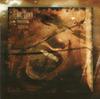 CD FINAL DAWN - Под... NAM001 New Aeon Media 2004 Нидерланды Рок Б/у