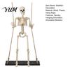 Indoor Outdoor Party Ornament Halloween Swinging Skeleton Decoration, 35" Large Spooky Hanging with Movable Joint Figurine Wooden Swing for