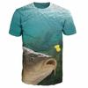3D Fish Printed T Shirt for Men Summer Men's Carp Fishes Funny T-shirt Women Kids Male Oversized Short Sleeve Tops Tees 100-6XL