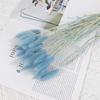 Bunny Tail Grass Dried Flower Bouquet - DIY Living Room Decoration