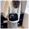 Plush Bag Women's Autumn and Winter New Clutch Bag Fashion and High-end Fluffy Bag Single Shoulder Crossbody Portable Fluffy Bag