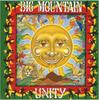 CD BIG MOUNTAIN Unity 74321219642 Giant Records 1994 Германия Регги Ска Даб Б/у