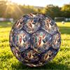 France Football Напечатанный Размер 5 Футбольный Мяч Износостойкий Стандартный Тренировочный Мяч для Взрослых Подарок для Фанатов для Матчей в Помещении и на Открытом Воздухе Спортивный