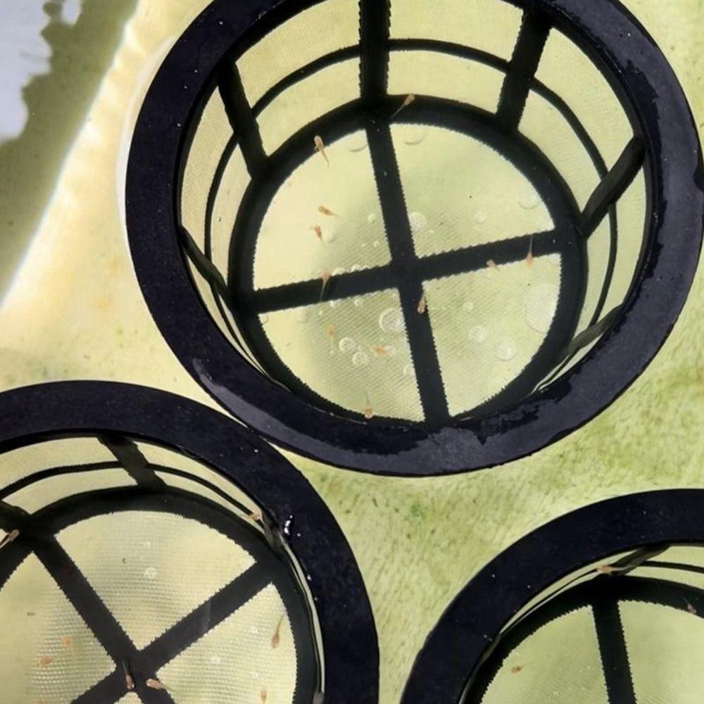 Reusable Aquarium Filters For Separating Fry and Sick Fish Increases Survival Rates