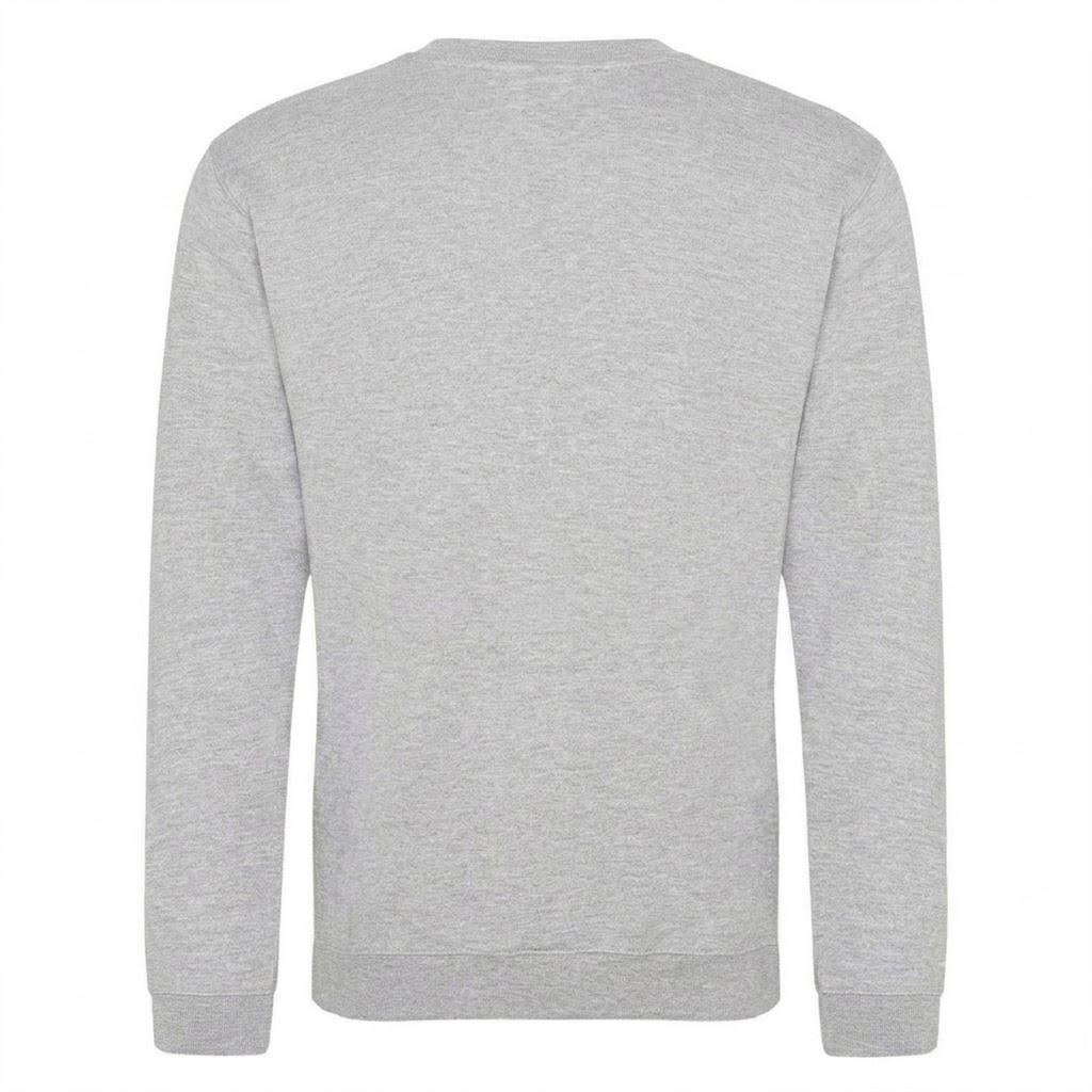 AWD Mens Norris Formula 1 Sweatshirt