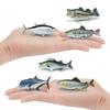 Animal Marine Tuna Salmon Resin Model Toy For Kids Display Gifts Decoration
