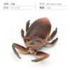 Simulation Of 16 Insects, Animal Models, Butterflies, Beetles, Spiders, Ants, Dragonflies, Cockroaches, Oxen Shields, Bugs, Static Ornaments