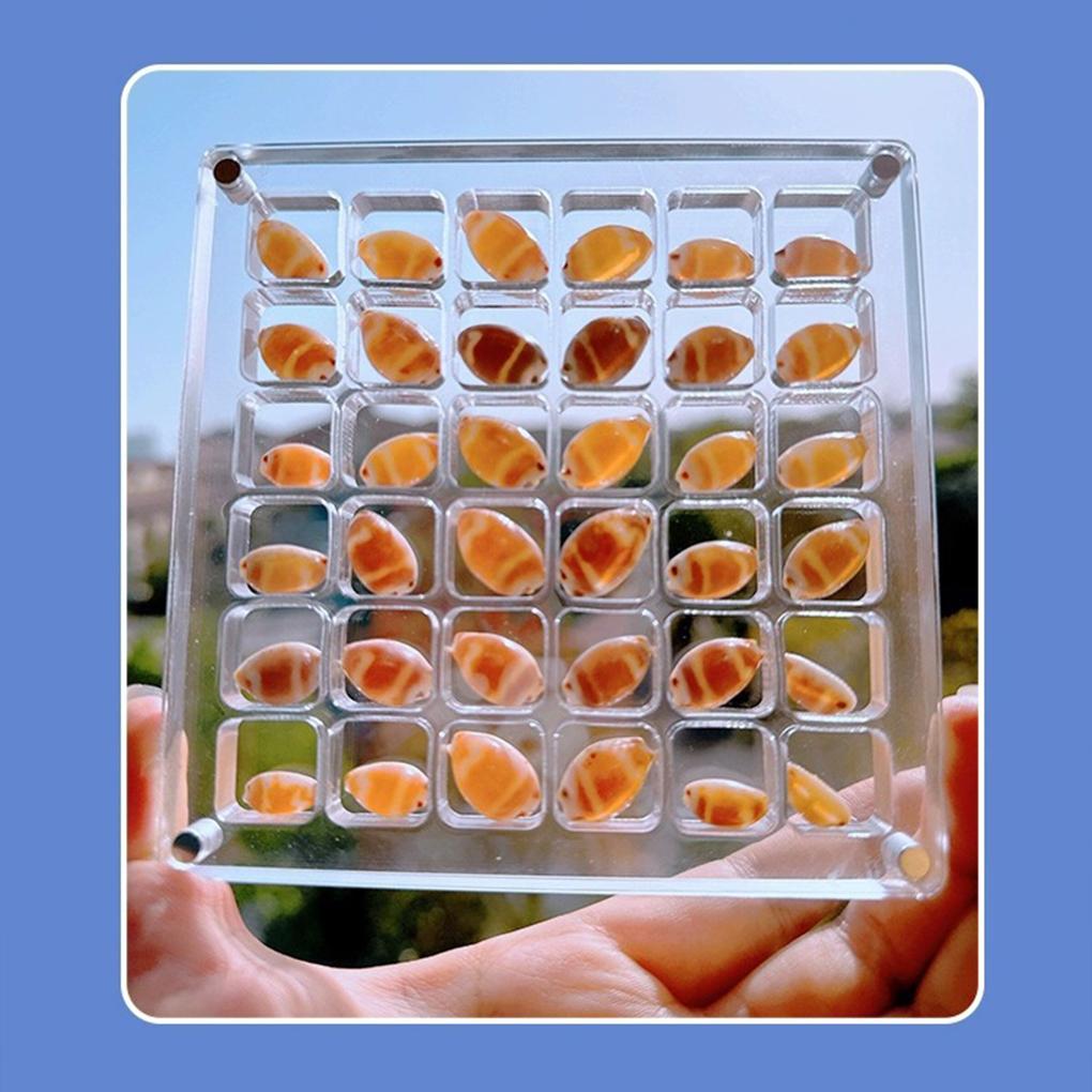 Белая витрина для ракушек, стиль 1, прозрачная акриловая коробка с 36 ячейками, органайзер для хранения ювелирных изделий и бусин