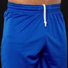 Nike Спортивные шорты мужские синие средние 867768-494