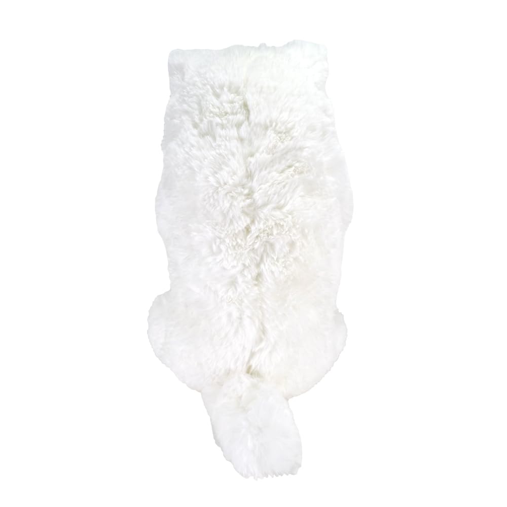 SunLemon Sleeping Lap Cat Persian White 22 X 14 X 47cm Plush Animal Cute Cat White P-1273