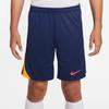 Nike Шорты повседневные мужские AS M NK DF STRK FN2402-494
