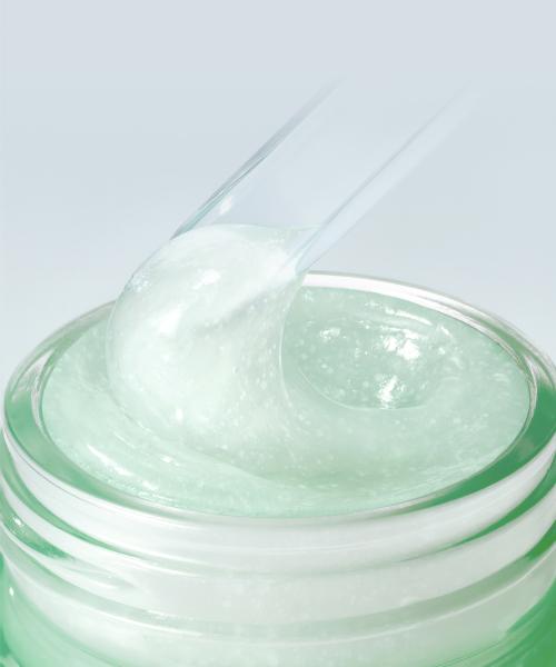 [Innisfree] Green Tea Panthenol Gel Cream 50mL with 2x15mL Minis