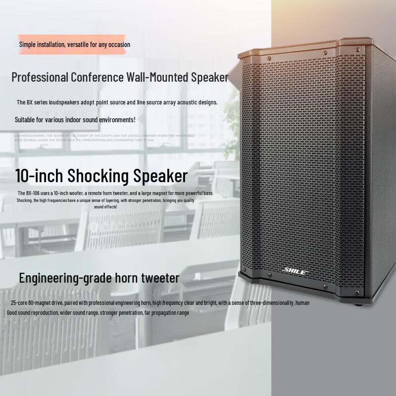 SHILE 10-inch Conference Room Wall-Mounted Speaker System