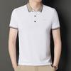 Solid Color Lapel Young and Middle-aged Men's Short-sleeved T-shirt Loose Casual Polo Shirt Top