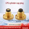 All-Copper LPG Anti-Leakage Valve Plug