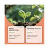 (1PC)Root Drops - Liquid Rooting Hormone | Fast Propagation, Stronger Roots | Works in Water, Soil, Leca, Moss | for All Indoor Houseplants
