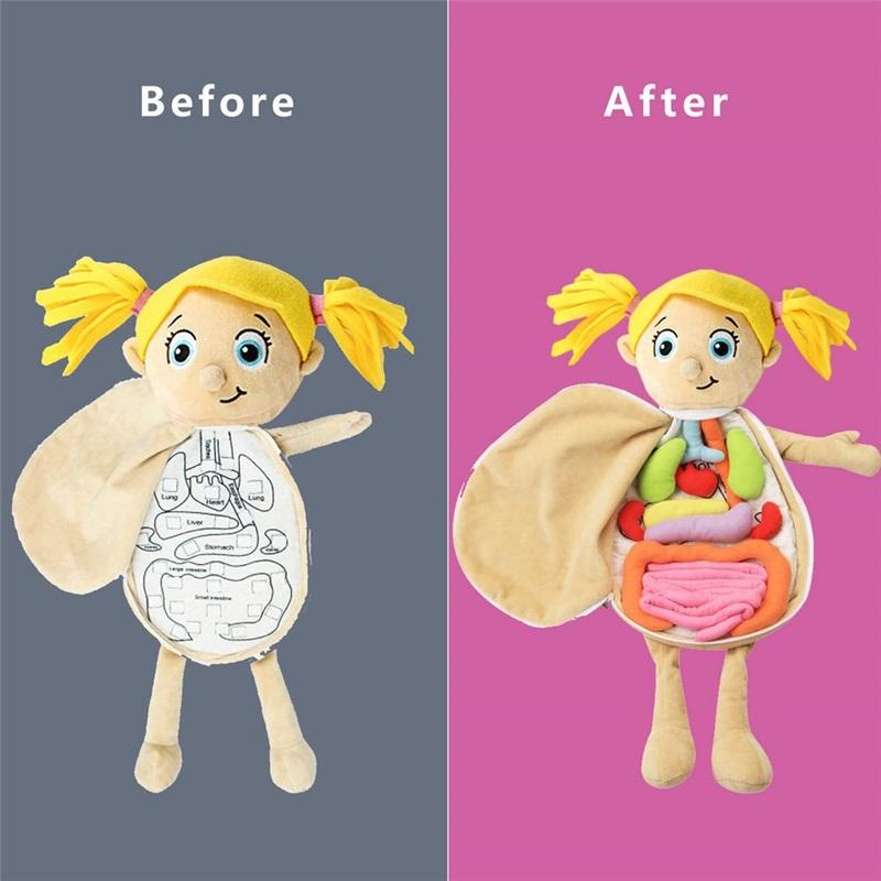 Модель человеческого тела, анатомическая кукла, мягкая кукла, игрушка, анатомическая медицинская игрушка для изучения внутренних органов, игрушка для раннего образования для дошкольников