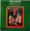 7-дюймовая пластинка JIMMY LINDSAY Where Is Your Love PB9422 RCA Victor 1979 Испания Reggae Ska Dub Б/у