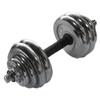 TLXT Electroplated Cast Iron Dumbbell Set