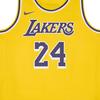 Nike Детский топ Dri Fit ICON EDITION Swingman Kids' IQ7133-728