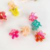 Transparent Mini Hair Claw Hair Clip Flower Mini Hair Claw Retro Star Hair Crab Clip  Women