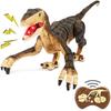 Rechargeable Remote Control Dinosaur Toy for and Children, 5 Channels 2.4G for Boy Girls, Electronic RC Walking Velociraptor