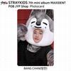 Stray Kids 7-й мини-альбом Maxident POB Photocard Aladin JYP Soundwave MK ifive