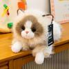 Плюшевая игрушка котенок Рэгдолл - Милый талисман Кот Удачи, кукла-утешитель в подарок на день рождения ребенка