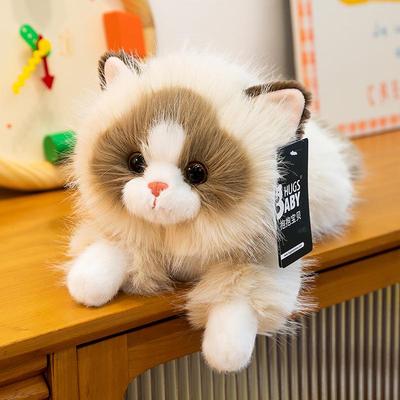 Плюшевая игрушка котенок Рэгдолл - Милый талисман Кот Удачи, кукла-утешитель в подарок на день рождения ребенка