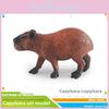 Капибара Животные Коллекционные Модели Из ПВХ и Пазлы Для Образовательного Подарка Детям