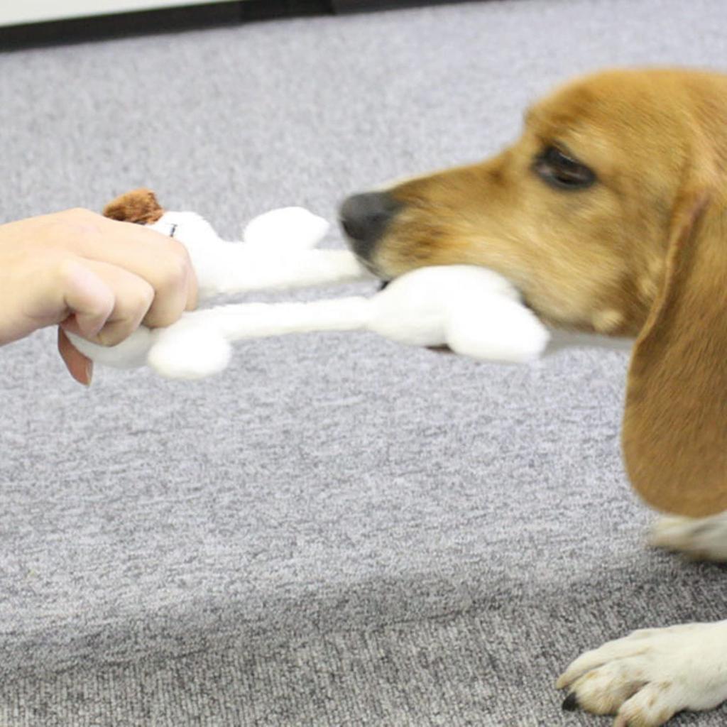 Собачий человек Животное Гиппаретай Капитан Один x 2