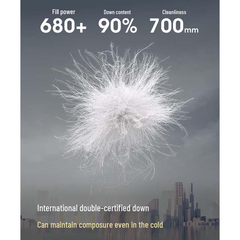 Bosideng B250245206 Detachable Hood Thickened Loose Down Jacket