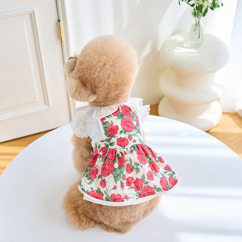 Cute Pet Summer Clothes Soft Cat Princess Skirt Comfortable Dog Vest  Autumn