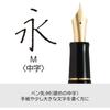 PILOT Custom 74 M Medium (Середина) Черное перо Black FKKN12SRBM, 14K Pilot