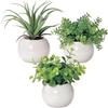 Mini Interior Green Artificial Flowers and Foliage Plants Air Green Set Eucalyptus, Plants, Fan-shaped 3-piece