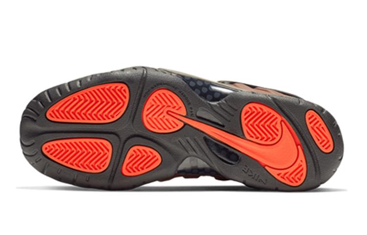Nike Air Foamposite Pro Color Shift GS 644792-800