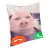 Чехол на подушку John Pork Is Calling, двусторонний, 3D-печать, наволочка для декора подушки-думки, для автомобиля, наволочка на заказ