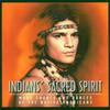 CD SACRED SPIRIT - Indians' Sacred Spirit CDV2907 Europe Dance & Electronica Used