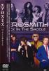 DVD DVD - Aerosmith Back in the Saddle PSD2009 Не из Японии Рок Б/У