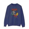 Mens Batman And Robin Sweatshirt