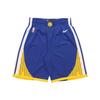 Мужские баскетбольные шорты в стиле ретро Icon Edition Swingman Golden State Warriors, синие 866809-495