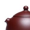 Tao Ding Xuan Handmade Zisha Purple Clay Teapot