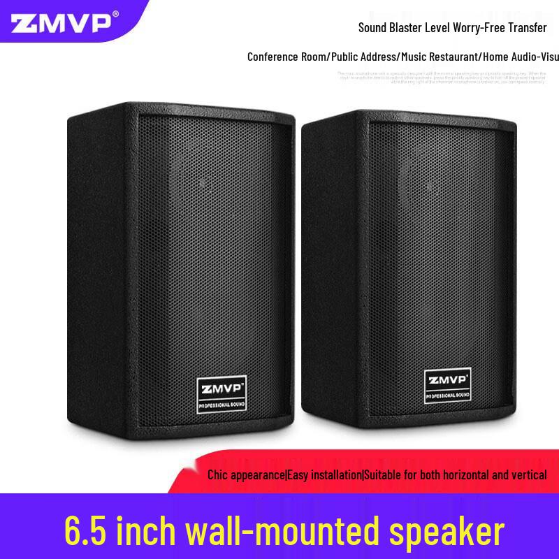 ZMVP S65 6.5-inch Passive Full-Range Conference Speaker