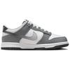 Nike Dunk Low GS Cool Grey Light Smoke Grey Kids Sneakers HM9617-001