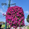 Artificial Morning Glory Flower Realistic Home Office Table Centerpiece Wedding Dropping Faux Petunia Flower Hanging Fake Floral Arrangement
