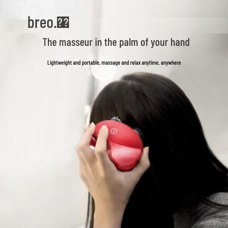 Breo Scalp mini Waterproof Electric Head Massager CN plug (adapter included)
