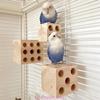 Parrots Grinding Chew Toy Bird Wood Chew Training Supplies Natural Wood Block Molar Toy for Pet Bird Tearing Grinding
