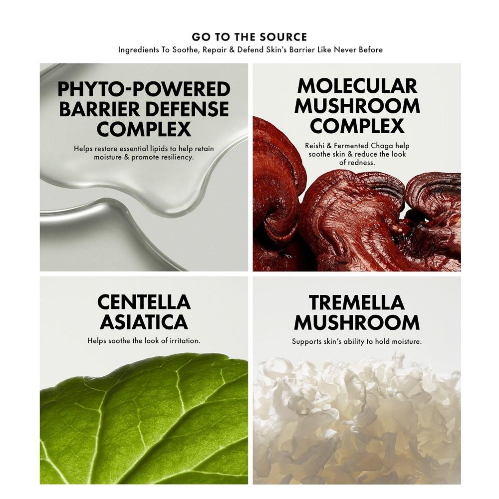 Origins Mega Mushroom Restorative Skin Concentrate Serum 1.7 Oz