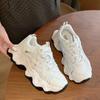 Summer Mesh Breathable Thin Dad Shoes Women's Shoes New Thick-soled Heightening Leather Casual Sports Shoes Women