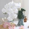 Набор из 5 искусственных стеблей орхидеи фаленопсис, реалистичные шелковые цветы для элегантного украшения центра стола дома